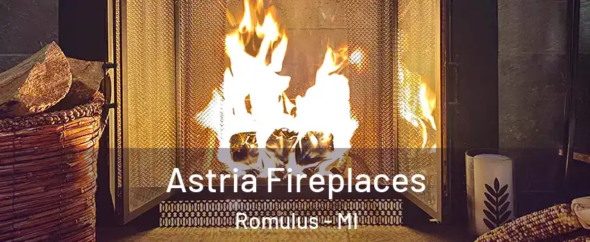  Astria Fireplaces Romulus - MI