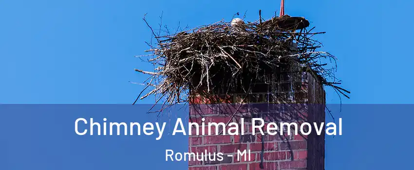Chimney Animal Removal Romulus - MI