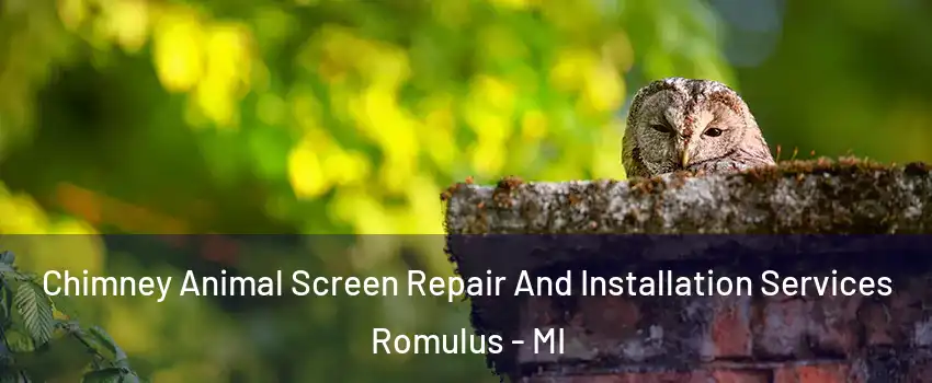  Chimney Animal Screen Repair And Installation Services Romulus - MI