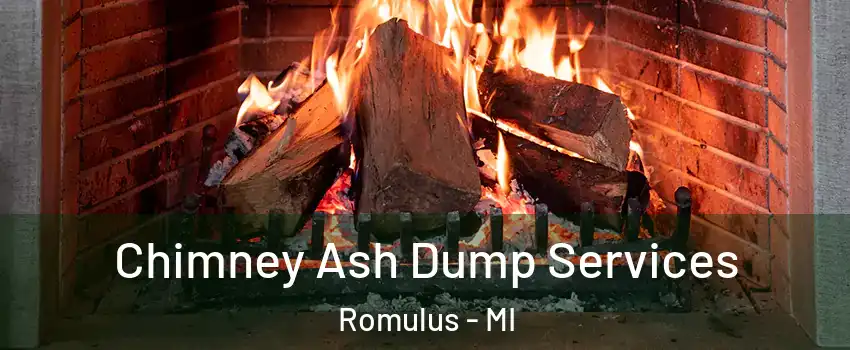  Chimney Ash Dump Services Romulus - MI