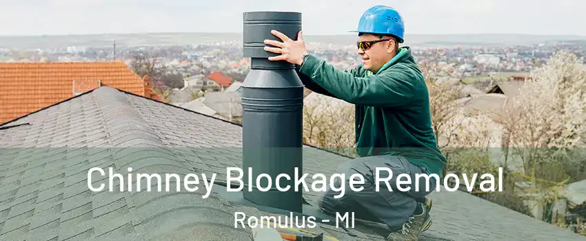  Chimney Blockage Removal Romulus - MI