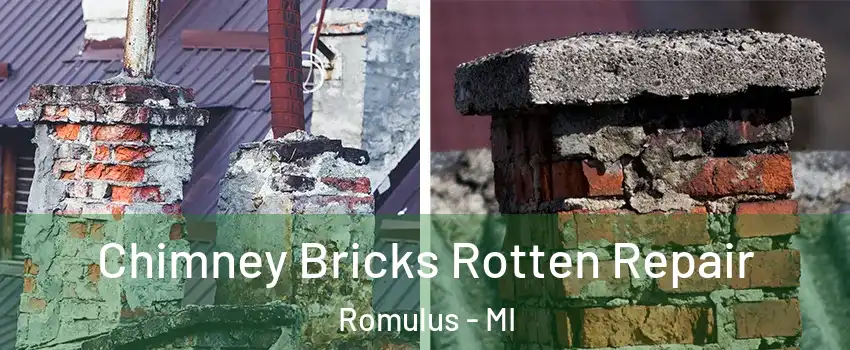 Chimney Bricks Rotten Repair Romulus - MI