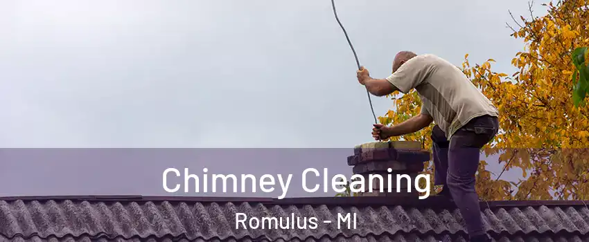  Chimney Cleaning Romulus - MI