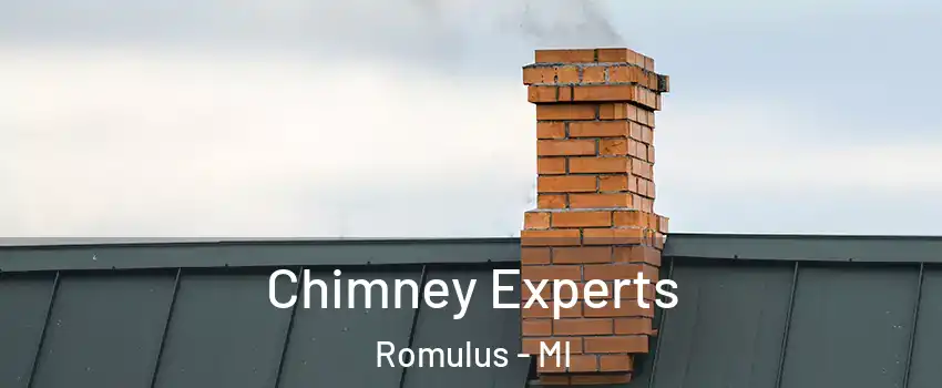 Chimney Experts Romulus - MI