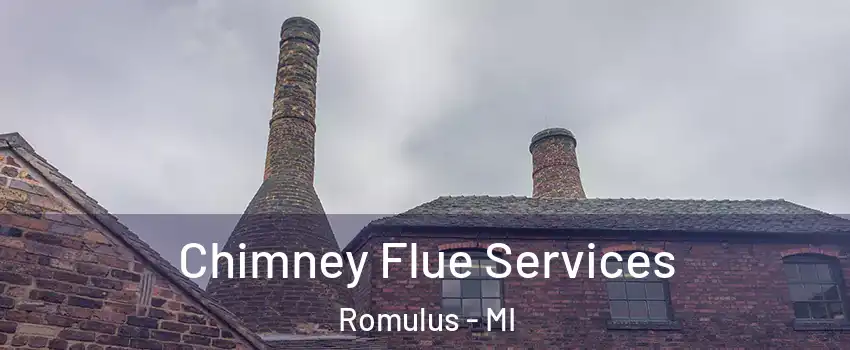  Chimney Flue Services Romulus - MI