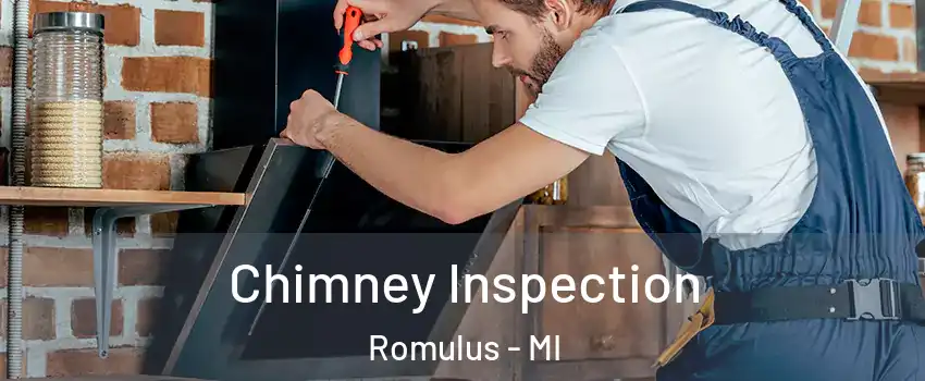  Chimney Inspection Romulus - MI