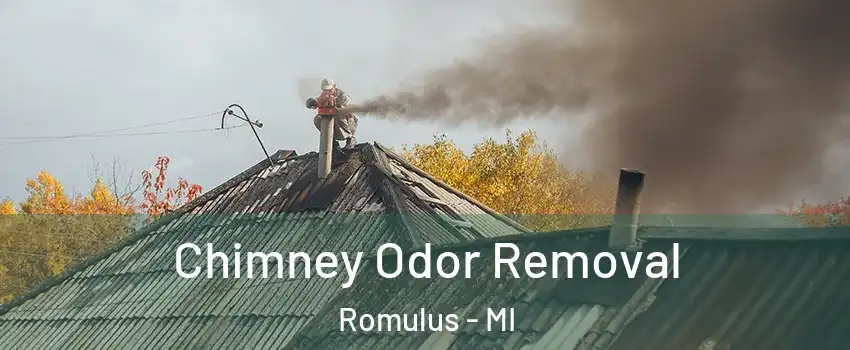  Chimney Odor Removal Romulus - MI