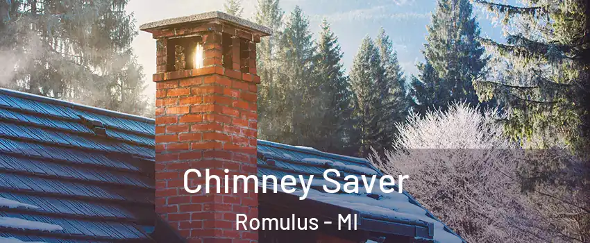  Chimney Saver Romulus - MI