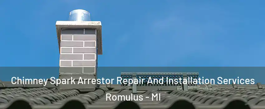  Chimney Spark Arrestor Repair And Installation Services Romulus - MI