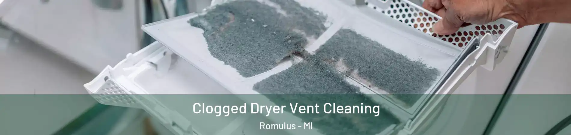  Clogged Dryer Vent Cleaning Romulus - MI