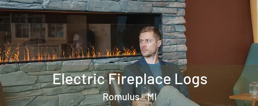  Electric Fireplace Logs Romulus - MI
