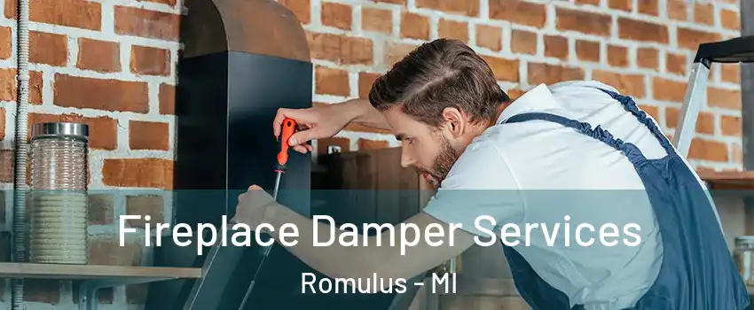  Fireplace Damper Services Romulus - MI