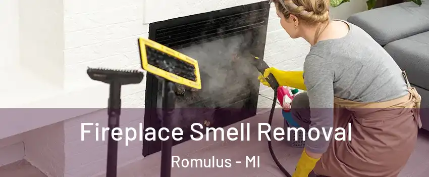  Fireplace Smell Removal Romulus - MI