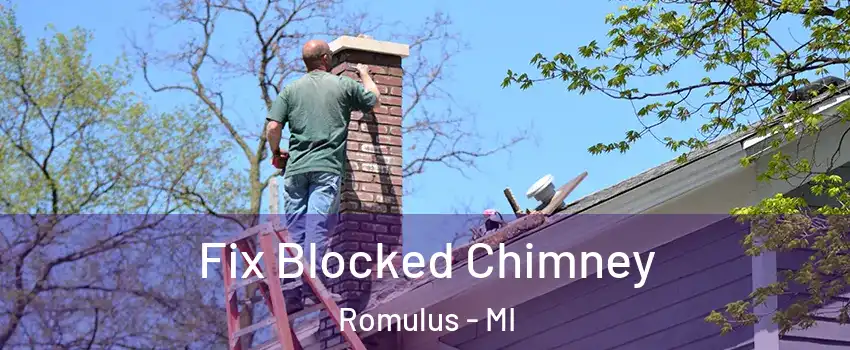  Fix Blocked Chimney Romulus - MI
