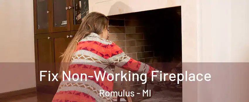  Fix Non-Working Fireplace Romulus - MI