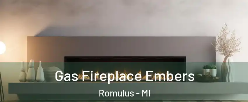  Gas Fireplace Embers Romulus - MI