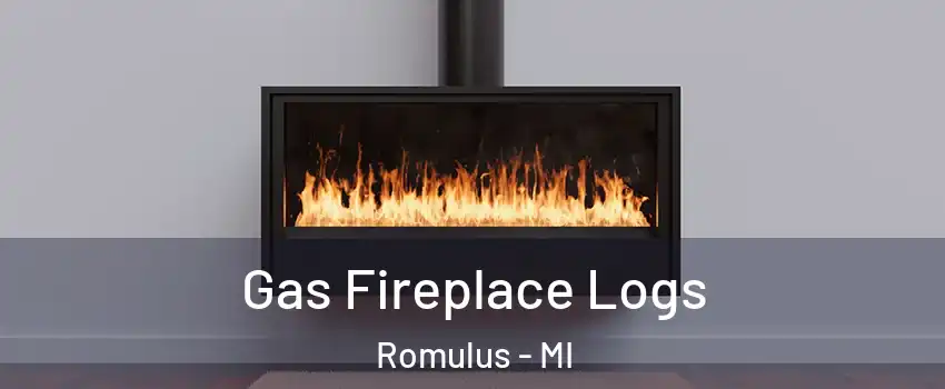  Gas Fireplace Logs Romulus - MI
