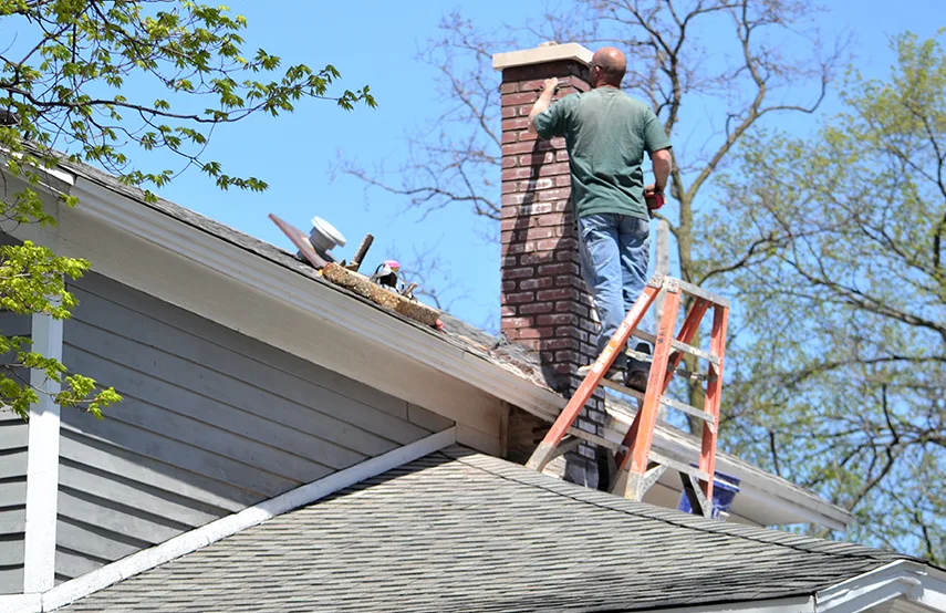 Chimney & Fireplace Inspections Services in Romulus, MI