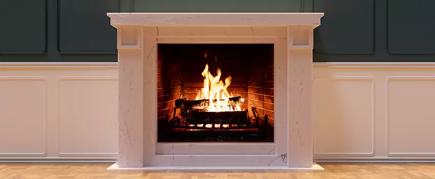 Empire Comfort Systems Fireplace Installation and Replacement in Romulus, Michigan
