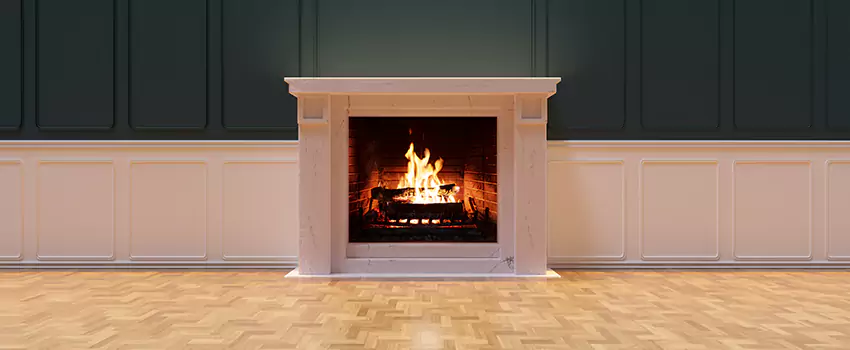 Napoleon Electric Fireplaces Inspection Service in Romulus, Michigan