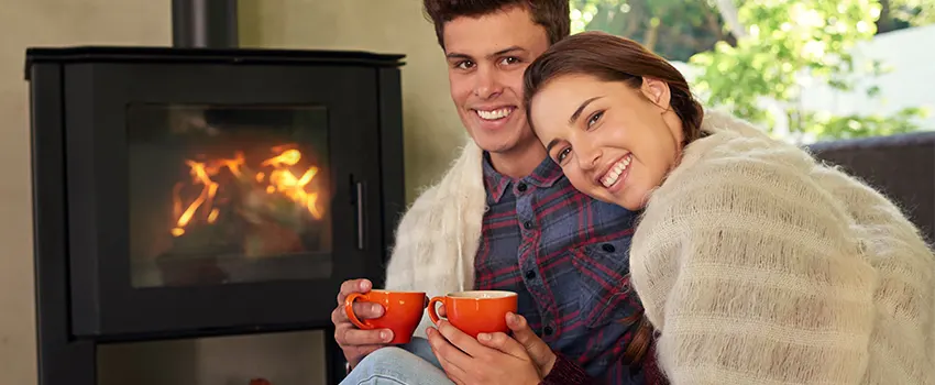 Regency Traditional Fireplace Products Maintenance and Repair in Romulus, Michigan