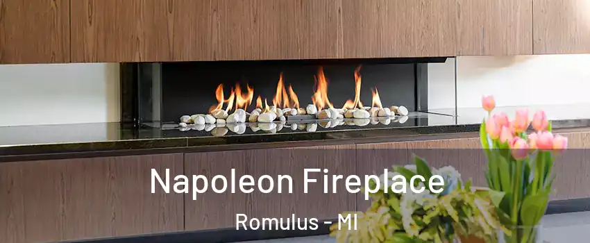  Napoleon Fireplace Romulus - MI