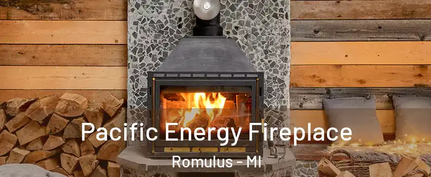 Pacific Energy Fireplace Romulus - MI
