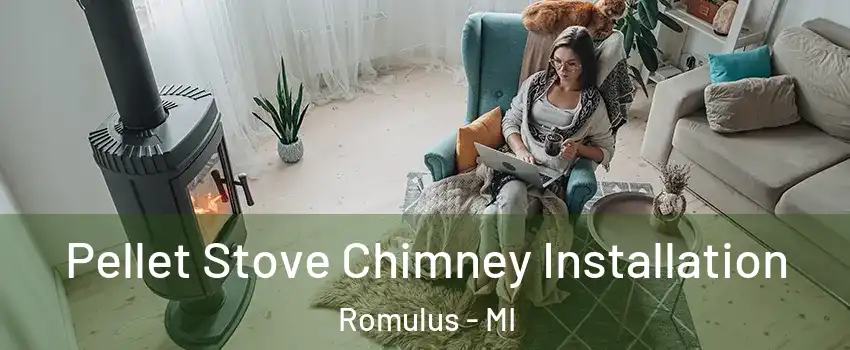  Pellet Stove Chimney Installation Romulus - MI